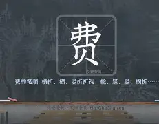 费耶诺德迎NBA总决赛关键赛，转会期豪取连胜，悬念犹存，细节决定成败